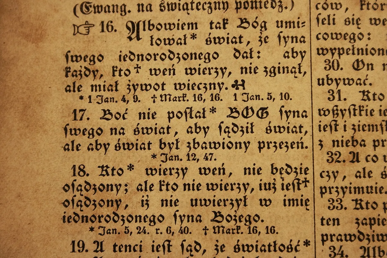 William Letter Signature Duo Font Usage