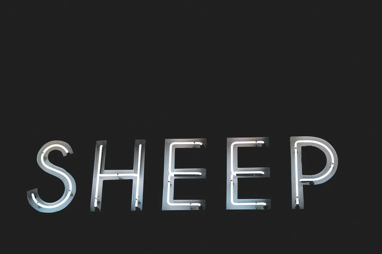 Casanova Font Usage
