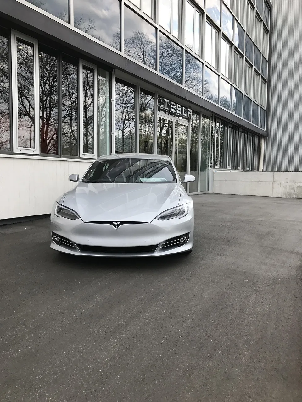 Tesla logo