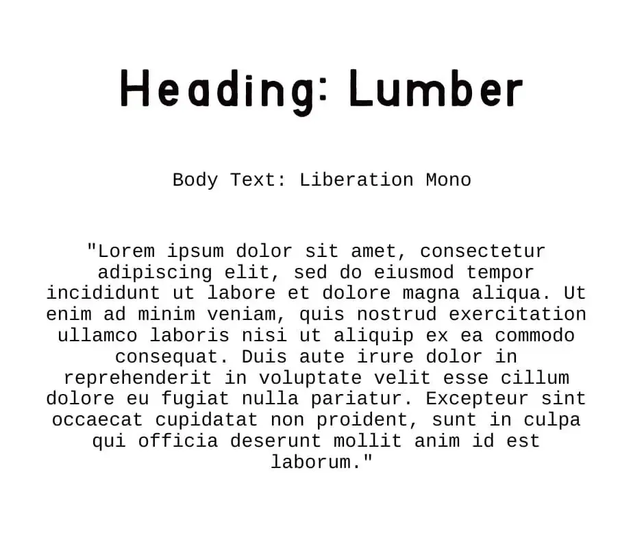 Liberation Mono Font Combination